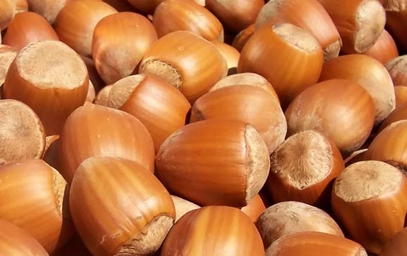 بەهای خۆراكی بندق