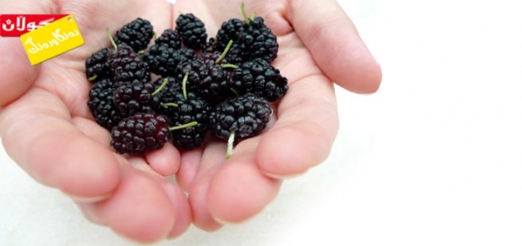 بەهای خۆراكـی توتی رەش