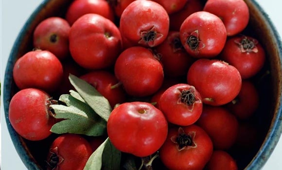 بەهای خۆراكی گێوژ