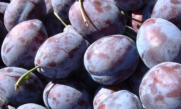 بەهای خۆراكی هەڵووژە