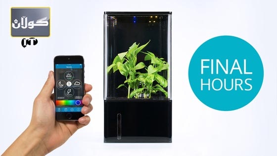 بە مۆبایل چاودێری گوڵ و گیای ماڵەوە بكە