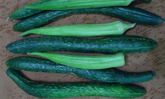 له‌باڵه‌كایه‌تی خه‌یاری نیومه‌تری به‌رهه‌مده‌هێندرێت