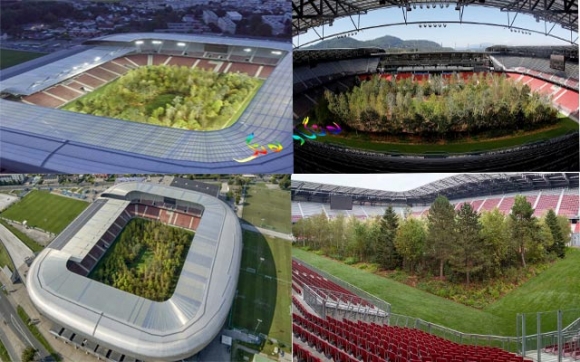 یاریگای باخچە و دارستان