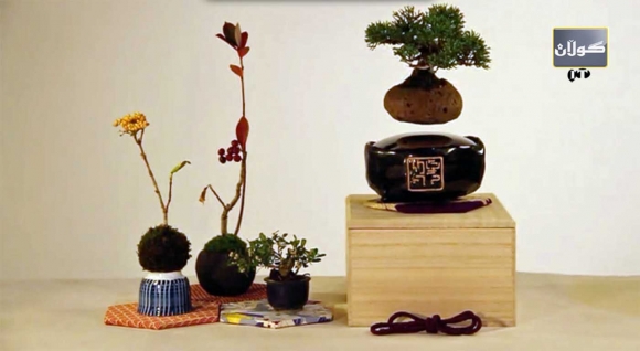 باخچەیەك لە هەوادا