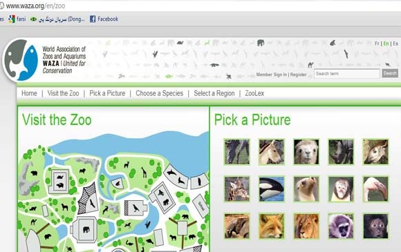 باخچەی ئاژەڵانی مەجازی
