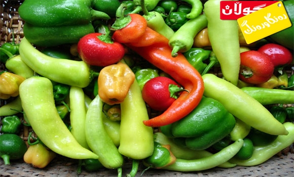 بەهای خــــــــــــــــــۆراكی بیبەر