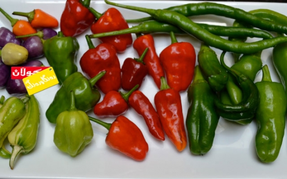 ئایا بیبەر كۆلیستیرۆل دادەبەزێنێت؟