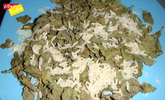 برنج بە پونگ