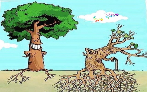 ئەم كاریكاتێرە باس لە كەسانی گەنج و كەسانی بەتەمەن دەكات، بە جۆرێك كە هەرچەندە گەنجەكان بەهێز و بەتوانان، كەچی هێندەی بەتەمەنەكان خاوەن بیرۆكە و زانین و پەند نین، بۆیە دەبێ رێز لە بەتەمەنەكان