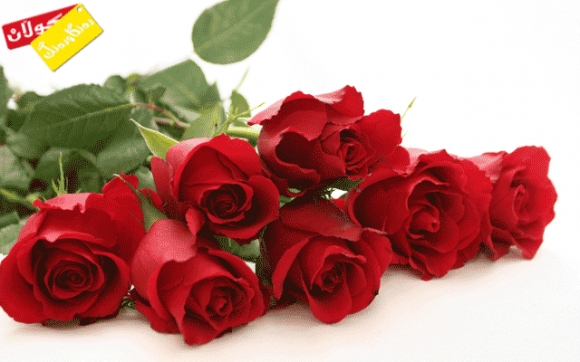 مانای خەون  - گوڵ -