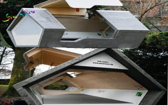 کەپسوولەی ئۆڵم