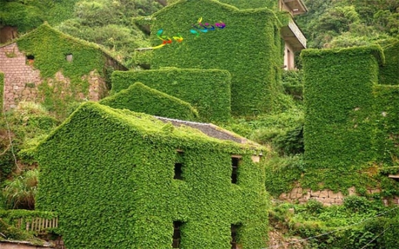 مەملەكەتی گژوگیای سەوز