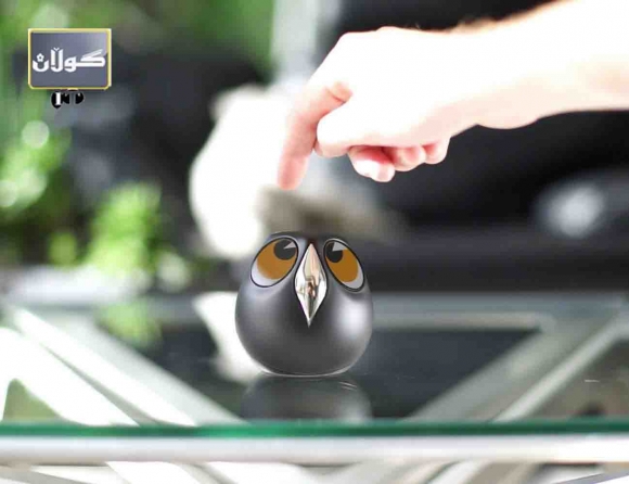 ئەمنییەتی ماڵەوە بە كوندەپەپوو بسپێرە