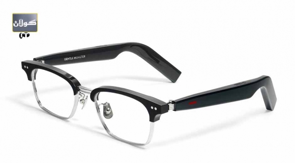 چاویلكەیەكی زیرەك و تواناكانی