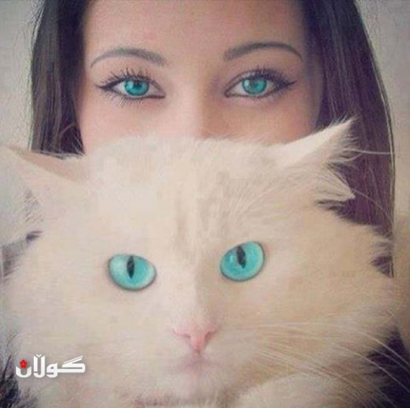 چاوی خۆی و پشیلەكەی هاوڕەنگە!