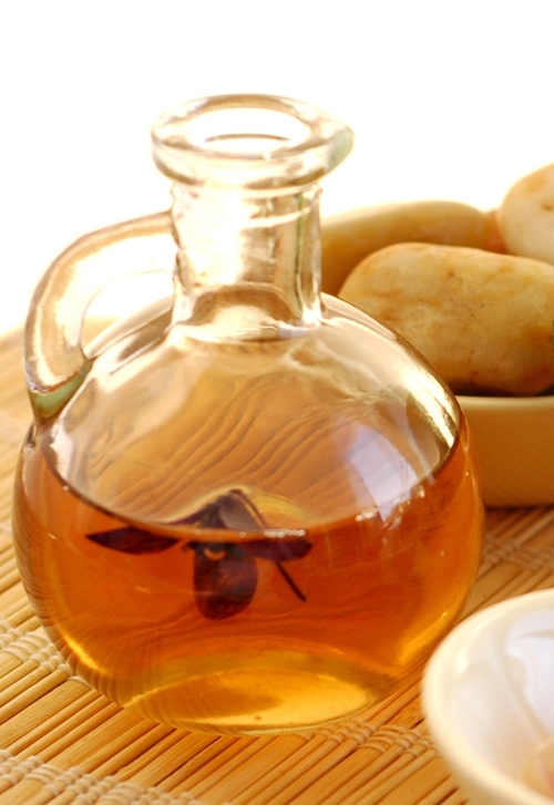 خۆڕاگری چەورییەكان