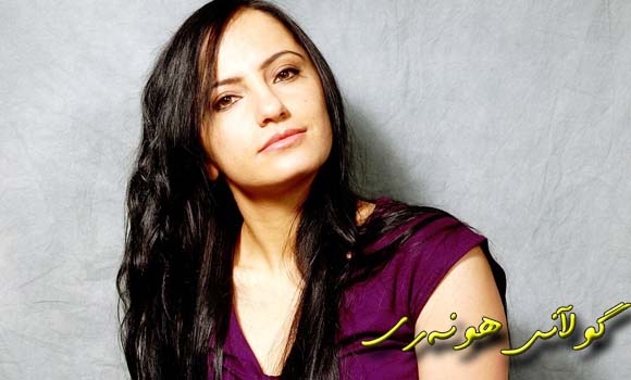 چنار: پێوه‌ندی من و هونه‌رمه‌ندان سنوورداره‌