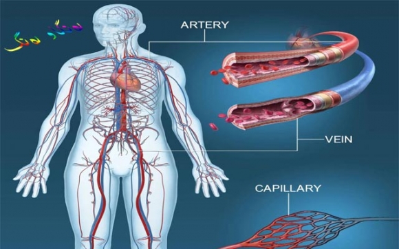 پەرەسەندنی شادەماری تازە