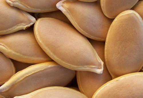 دەنكەكانی كولەكەی زەرد