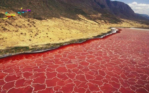 دەریاچەی بكوژ