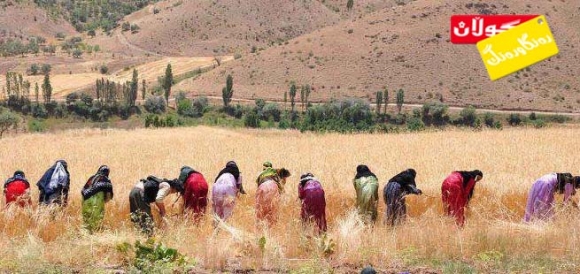 داس و  داسووكە