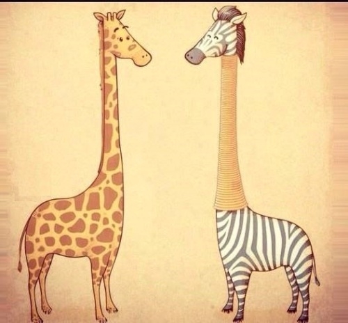 ئەوەیە ماناى قوربانی !