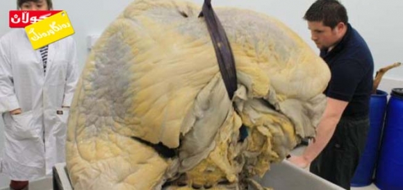 دڵ گەورە كێیە!