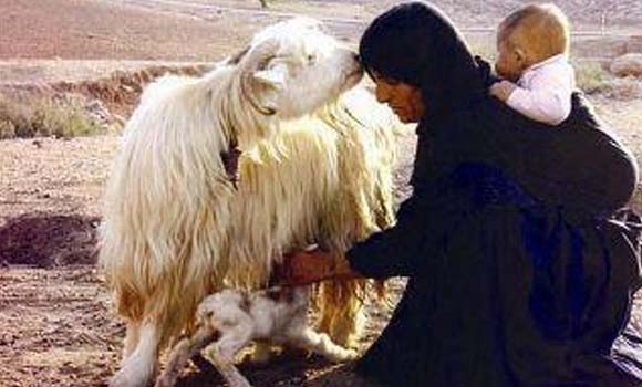 دۆشــــــــــــــــین !