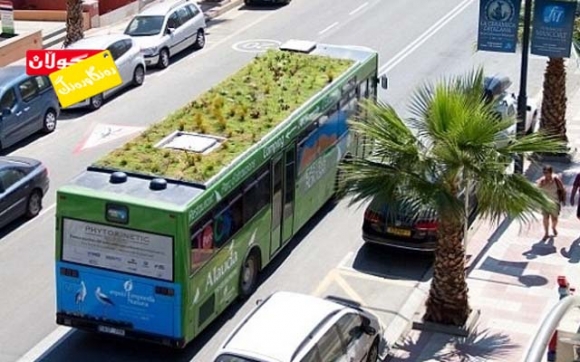 دروستكردنی باخچە لەسەر ئوتۆمبێلان!!