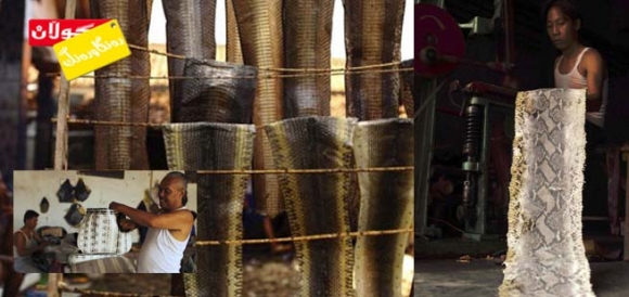 دروست كردنی جانتای دەستی كچان لە پێستی مار