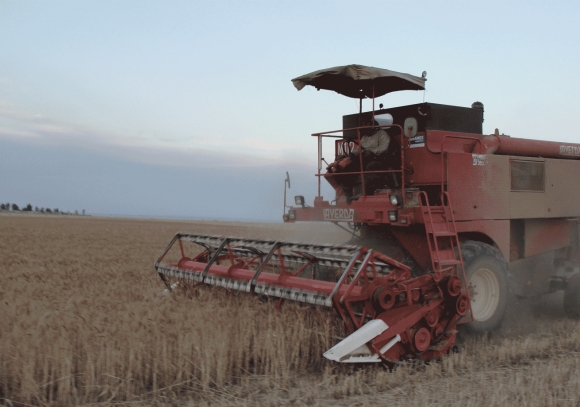 وەرزی دروێنەیە و خەرمان بەرەكەت