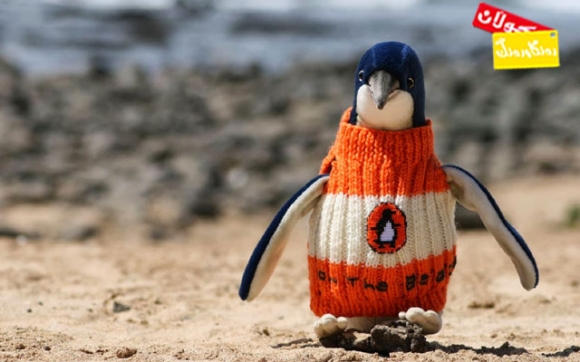 جل و بەرگ بۆ بەتریق دەدروێت