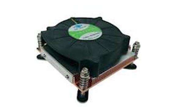 فانێك بێ پەروانە