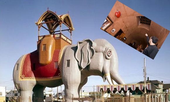 چێشتخانە و ئوتێـل لەناو سگی فیل