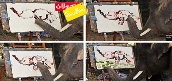 بنەگە هەوارگەیەكی كاتیی و خۆش !