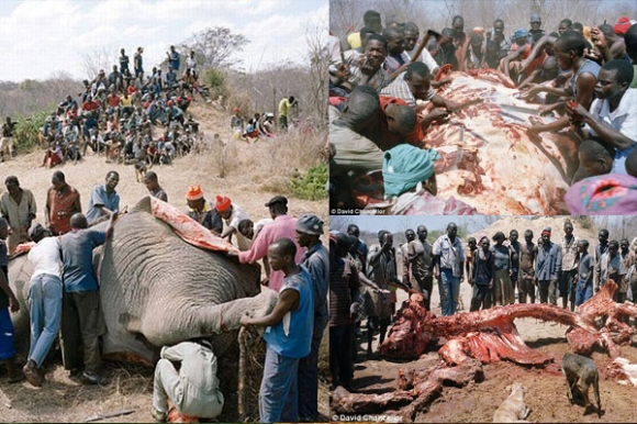 برسی لەكەس ناپرسی!