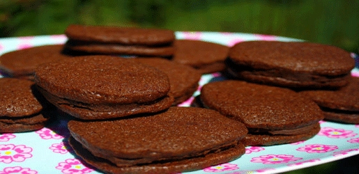 بسكیت به‌ كاكاو