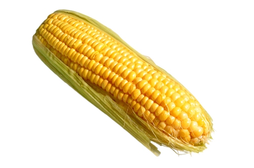 بەهای خۆراكی گەنمەشامی