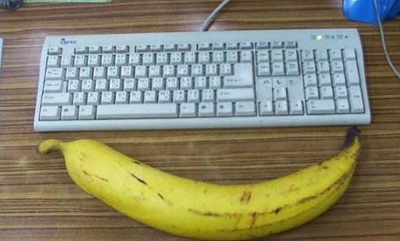 گەورەترین مۆزیش دەركەوت