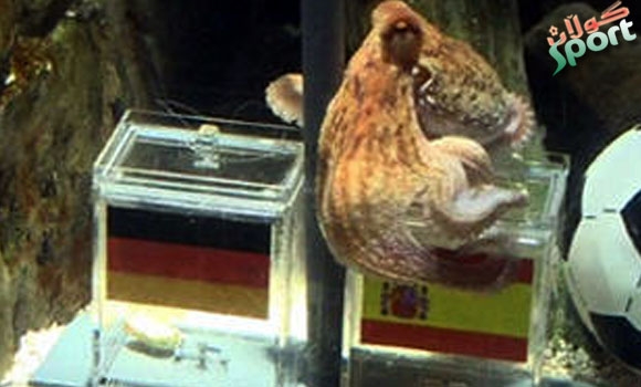 ئه‌و گیانداره‌ى سه‌رجه‌م پێشبینیه‌كانى رِاست بووه‌: ئیسپانیا له‌ ئه‌ڵمانیا ده‌باته‌وه‌