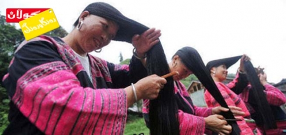 گوندی قژ درێژەكان