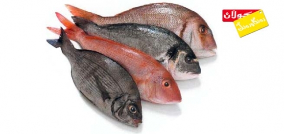 گرنگیی پرۆتینی ماسی