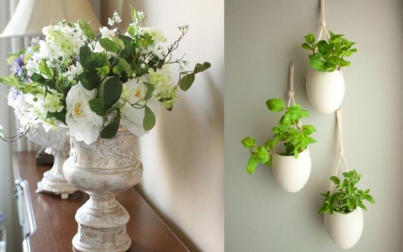 گوڵ و گوڵزار لە ماڵەكەت