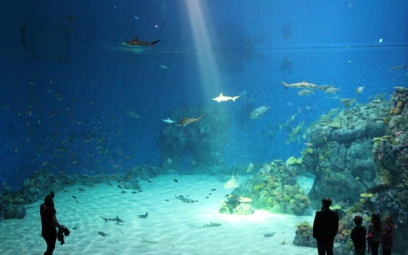 هەساری دەریای شین