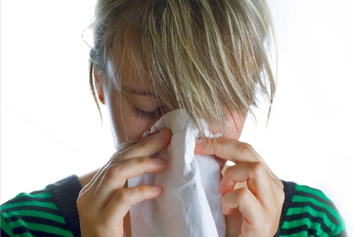 هاوین و لووتپژان