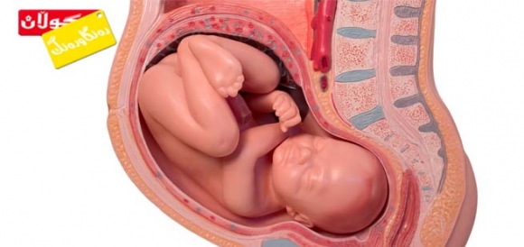 كەی كۆرپە دەجوولێت؟