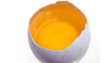 دیوەكەی تری زەردێنەی هێلكە