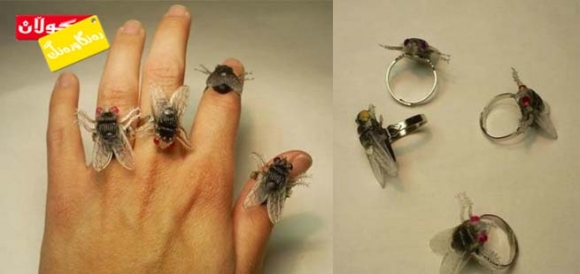 ئەڵقەی پەنجە لە شێوەی باڵندە