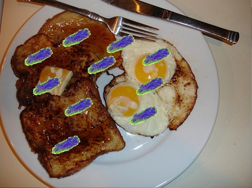 هاوین و ژاراویبوون بە خۆراك