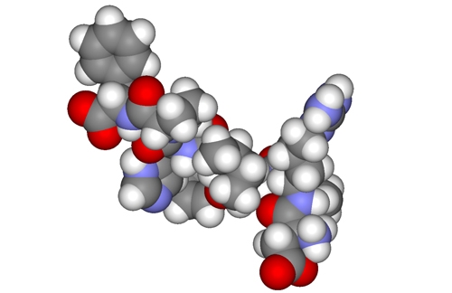 هۆڕمۆن چییە؟